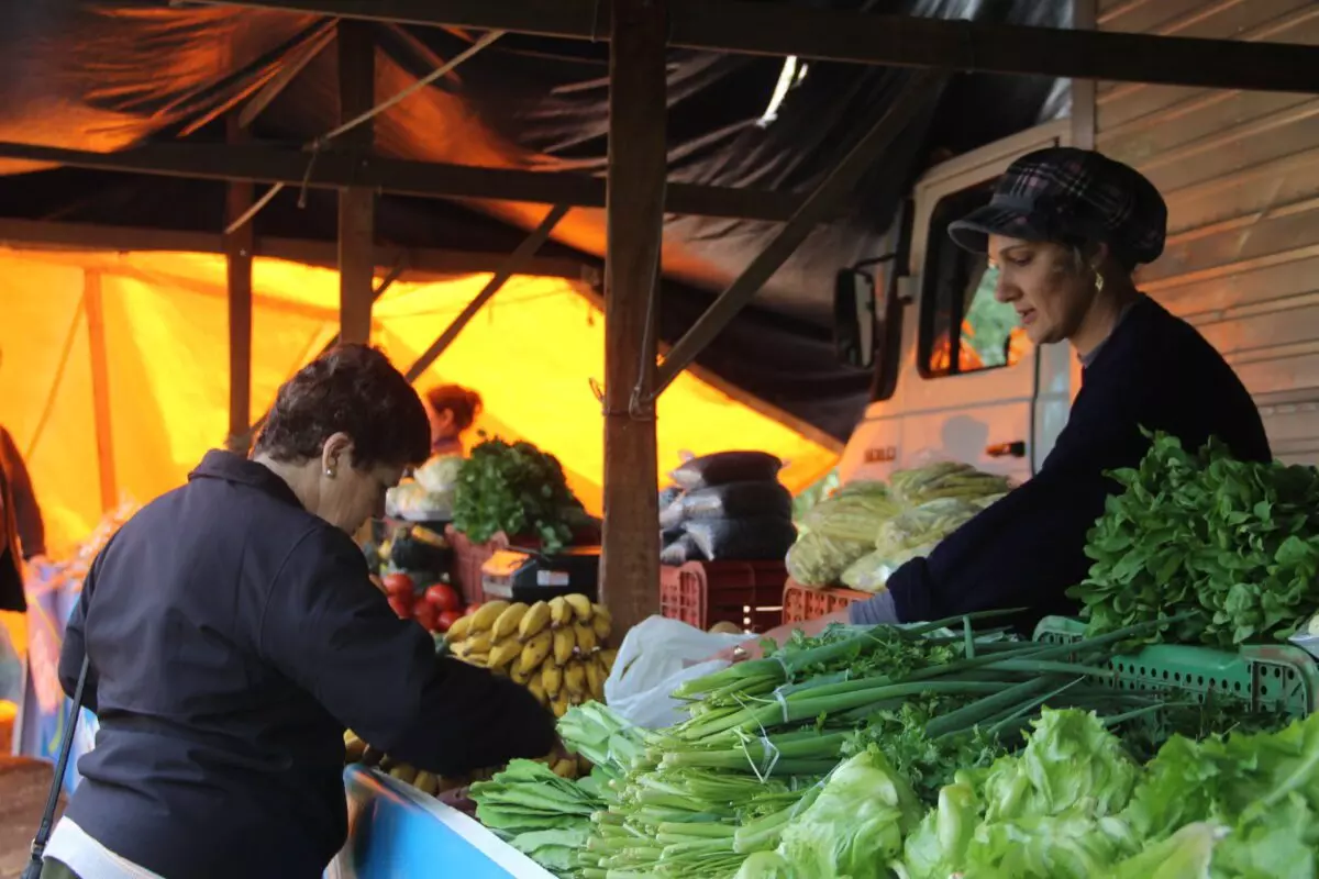 Agricultura no campo